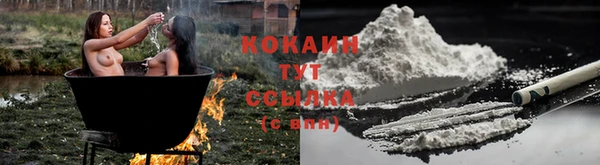 стаф Магас