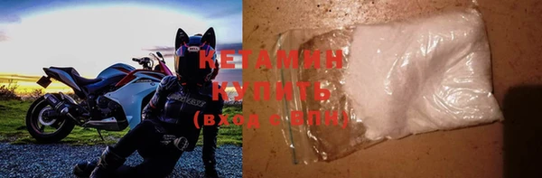 стаф Магас