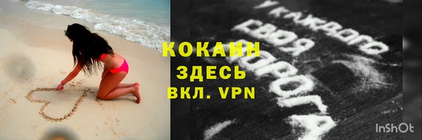 стаф Магас