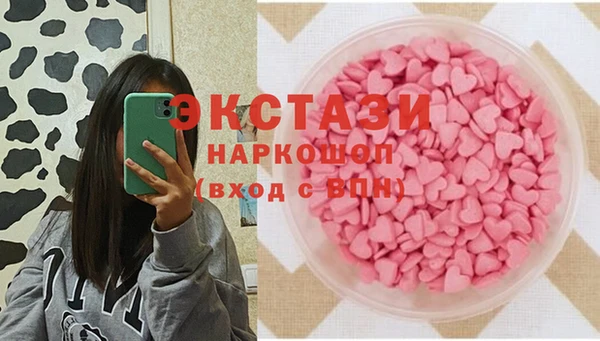 стаф Магас