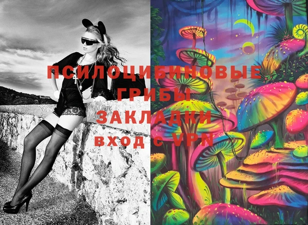стаф Магас