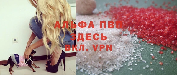 стаф Магас