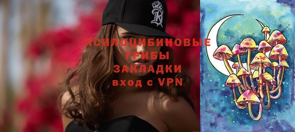 стаф Магас