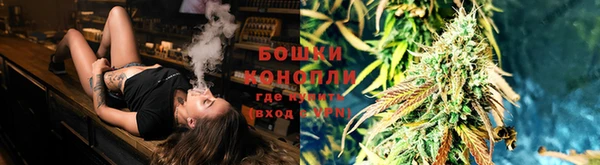 стаф Магас