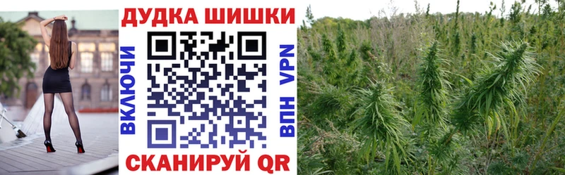 Шишки марихуана Ganja  где можно купить наркотик  Чекалин 